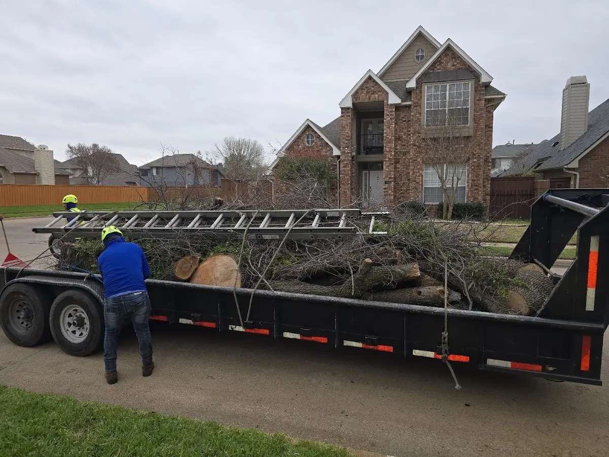 Expert Tree Fertilization with proper safety equipment in Cylinder